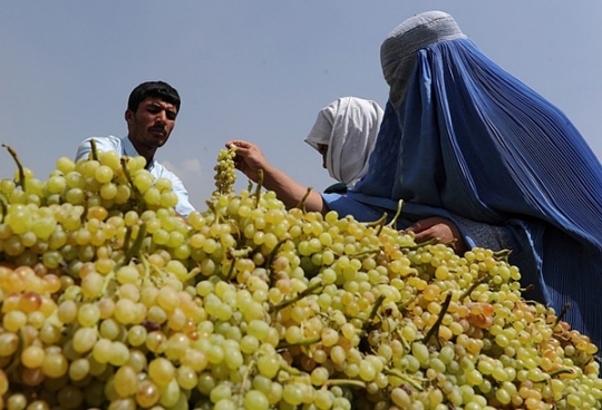 世界各地的路邊攤向你訴說(shuō)的故事