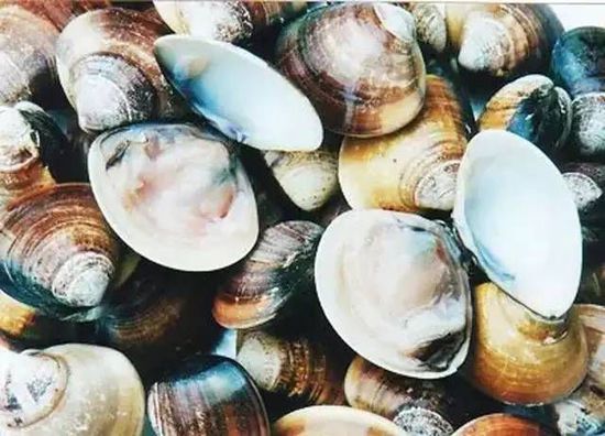 秋季最適合吃的海鮮是這10種 你吃對(duì)了嗎？