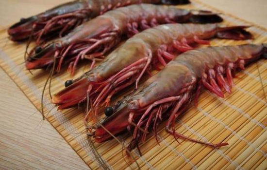 秋季最適合吃的海鮮是這10種 你吃對(duì)了嗎？