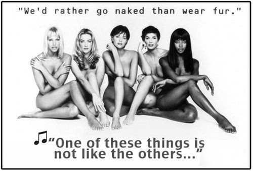 時(shí)尚圈第一組群?？棺h皮草大片