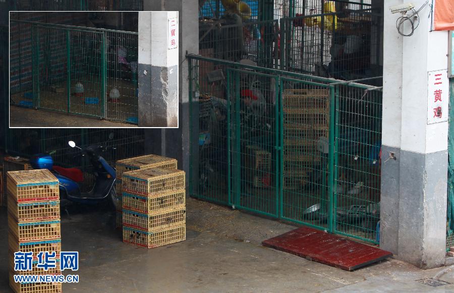 上海6日起暫?；钋萁灰?關(guān)閉所有活禽交易市場(chǎng)