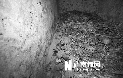 　5月29日，在以色列特拉維夫市雅法地區(qū)，一處集體墳?zāi)贡话l(fā)現(xiàn)。