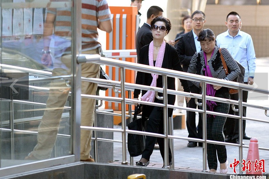 夢(mèng)鴿現(xiàn)身海淀法院。中新網(wǎng)記者 金碩 攝