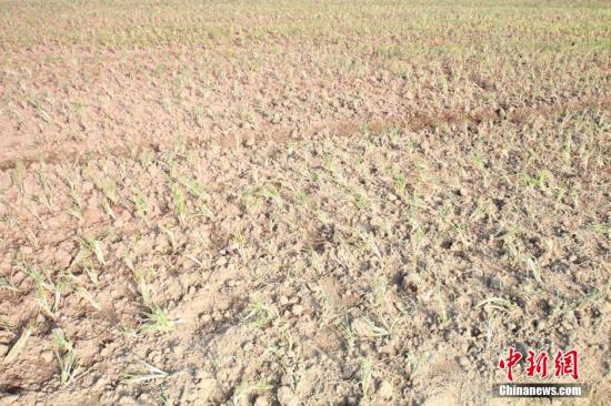 2014年7月31日早晨，浙江紹興市區(qū)蔬菜批發(fā)市場(chǎng)旁邊的土地已經(jīng)發(fā)生開(kāi)裂。