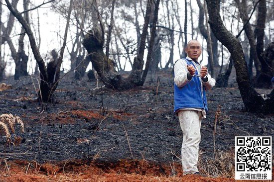 山林被燒得滿目瘡痍。