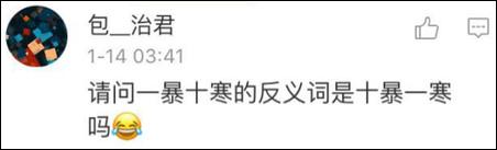 鶴立雞群？雞立鶴群！