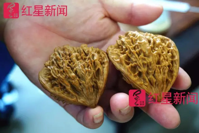 文玩核桃遇冷由幾萬一對降到5元沒人要？商戶否認