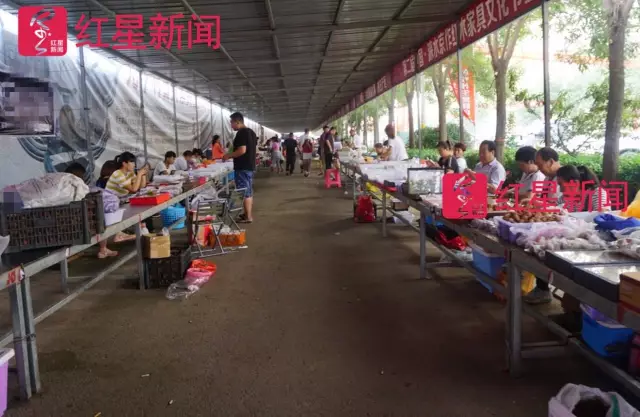 文玩核桃遇冷由幾萬一對降到5元沒人要？商戶否認