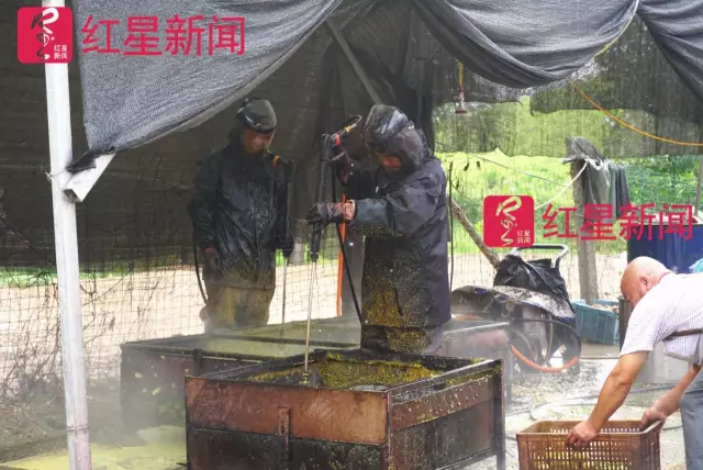 文玩核桃遇冷由幾萬一對降到5元沒人要？商戶否認