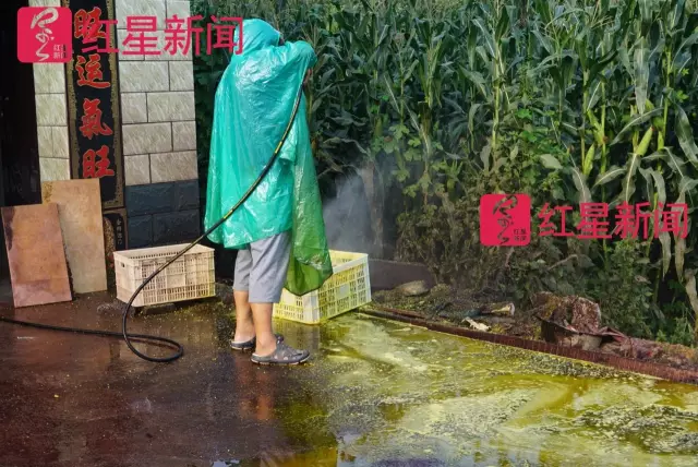 文玩核桃遇冷由幾萬一對降到5元沒人要？商戶否認