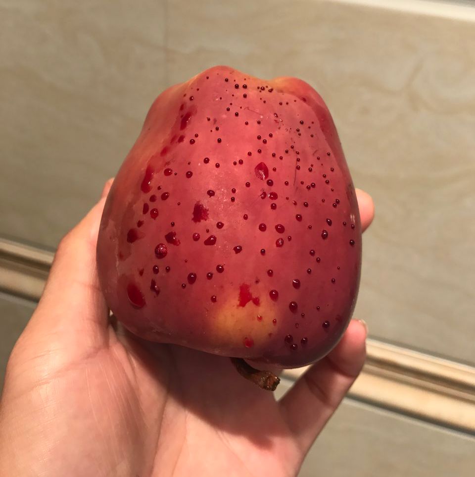 嚇懵！女子用熱水泡蘋果結(jié)果冒出血珠 咋回事？