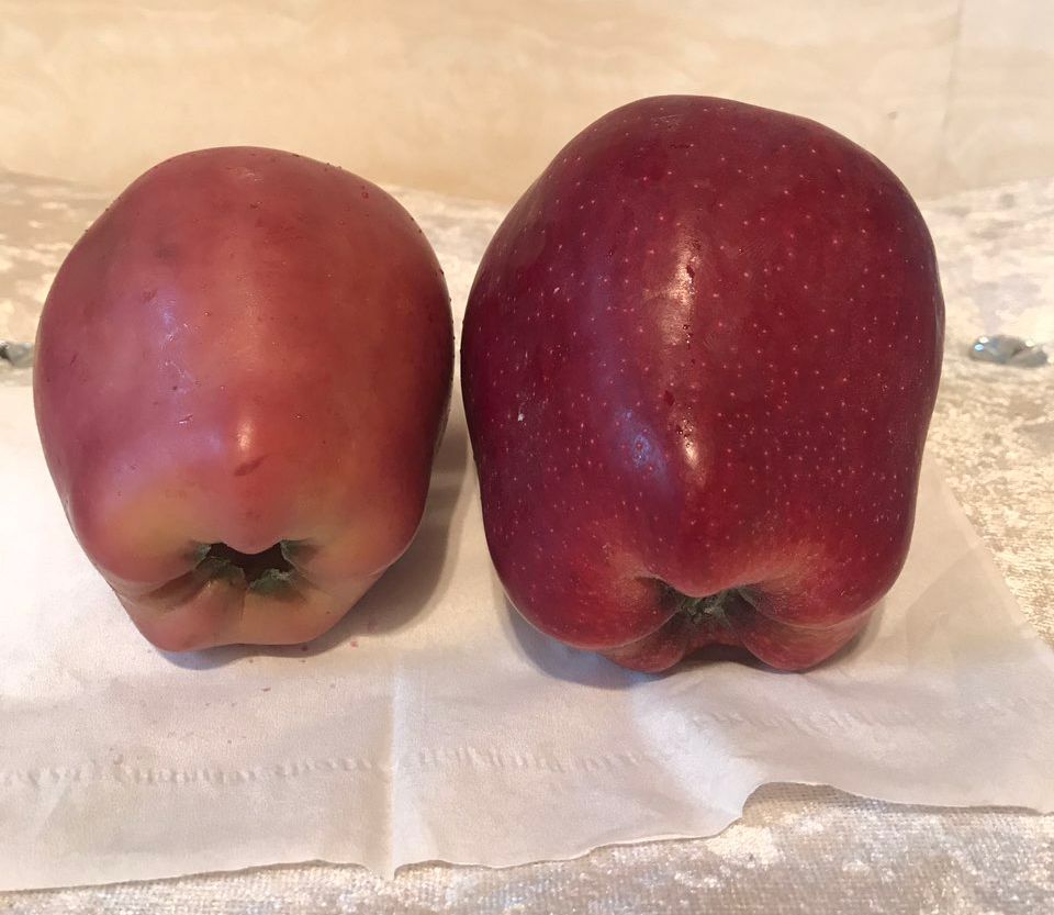 嚇懵！女子用熱水泡蘋果結(jié)果冒出血珠 咋回事？