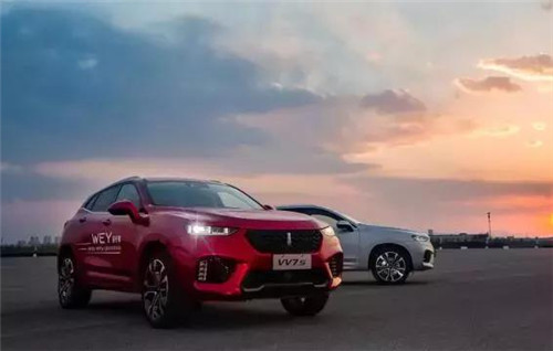 去年“蹦”出來的新汽車品牌們，現(xiàn)在活得怎么樣了？