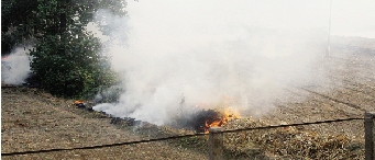 鄭州深陷“霾”伏   都是燒秸稈惹的禍？