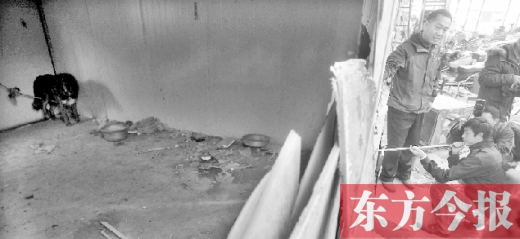 12月4日，鄭州市未來路與隴海路交叉口西側(cè)，執(zhí)法人員用吹管麻醉針對付一只藏獒