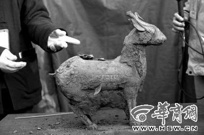 一件似羊似鹿的犧尊華麗亮相，可愛(ài)的造型“萌翻”現(xiàn)場(chǎng)。