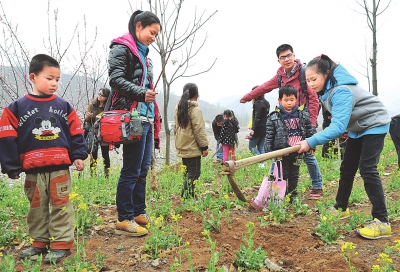 我挖坑來(lái)你栽樹(shù)