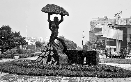8月28日，南陽街頭繁花似錦，市民宛若行走在花海之中。