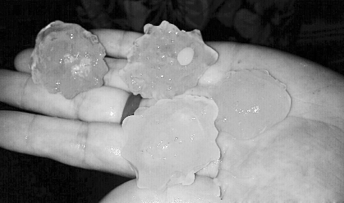 昨天凌晨，三門峽下起了冰雹，最大直徑近1厘米 微博截圖