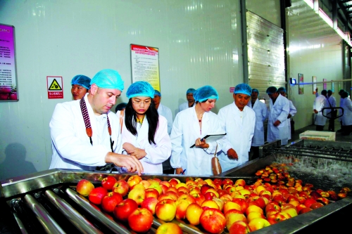 三門峽蘋果拿到加拿大市場(chǎng)“通行證”