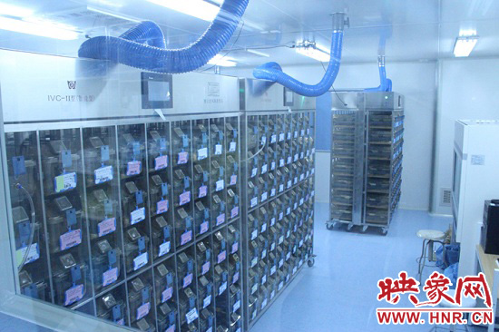 “鼠村”里每一個(gè)籠子是一家。“村”里住著1萬只左右的小鼠