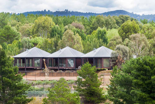 澳洲動(dòng)物園中開(kāi)旅館 親密接觸野生動(dòng)物