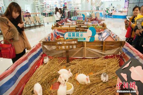 廣西多家商場在大廳圈養(yǎng)動(dòng)物招攬顧客