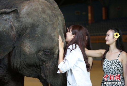 學(xué)生參加?；ㄐ２荽筚?穿比基尼秀身材