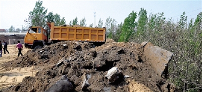 垃圾將生態(tài)涵養(yǎng)林給埋住了。