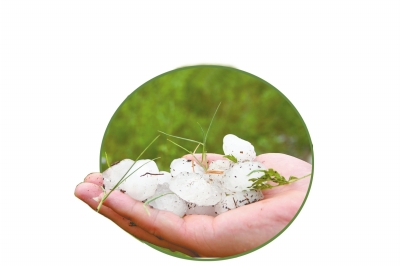 冰雹化了一些,還有這么大。