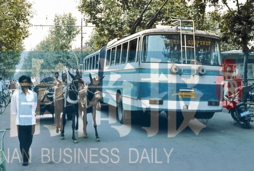 當(dāng)年的伏牛路，驢車和公交車并行