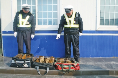 民警查獲的乘客行李包中，裝的全是獼猴。