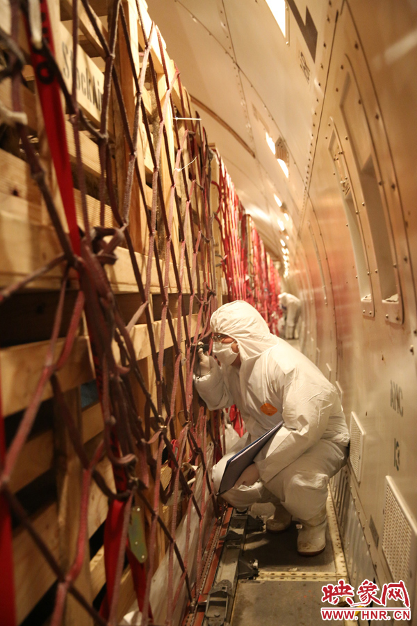 千只澳大利亞種羊“打飛的”落戶河南 創(chuàng)國內(nèi)多個(gè)第一