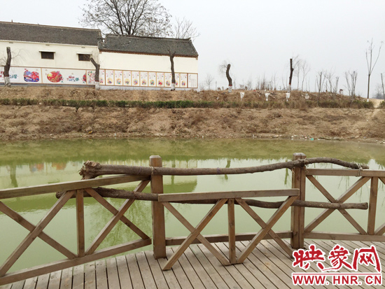 護欄損毀的地方，已經(jīng)被兩根樹干擋住。