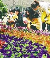 近距離才能拍得更真切。