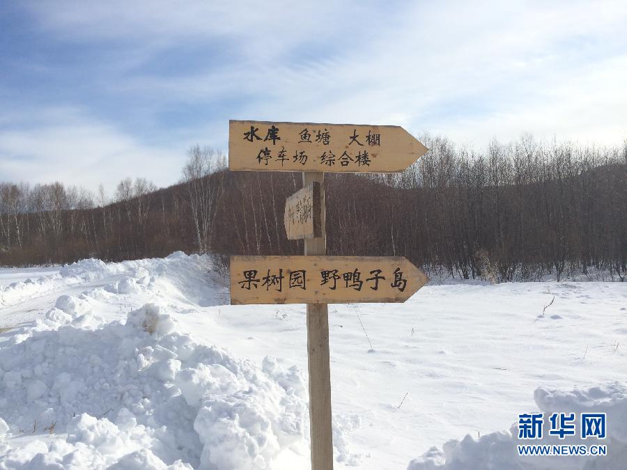 穗豐園里的標(biāo)識牌（2013年12月8日攝）。新華社記者王子辰攝