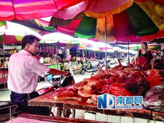  昨日，玉林垌口市場(chǎng)，一位市民在購買狗肉。