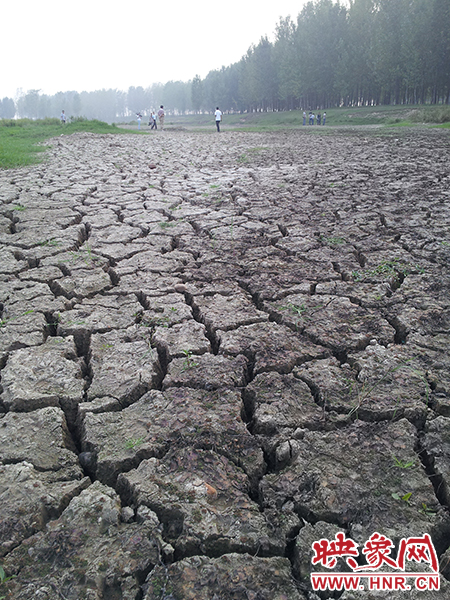 澎河匯入白龜山水庫處，河床已經(jīng)全部干裂，等待丹江水的到來。
