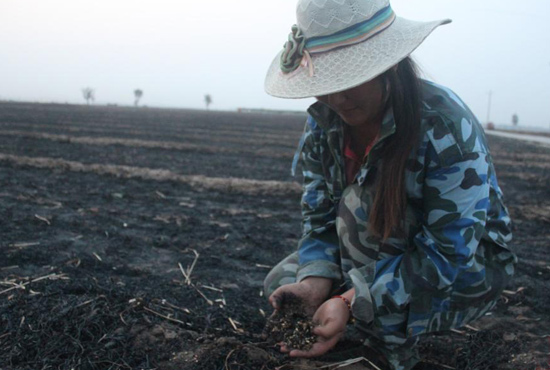 村民們眼巴巴看著豐收的小麥“葬身”火海，心疼不已。