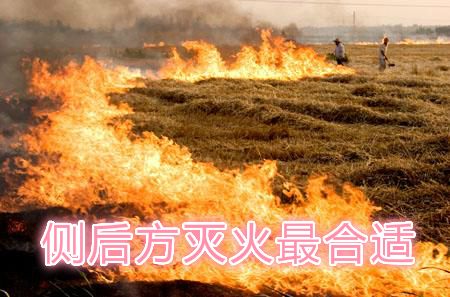 不要在風(fēng)頭上打火：風(fēng)正大，火正旺，最容易傷人；