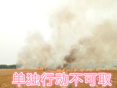 不要單獨一個人亂沖亂打：單獨行動被煙氣沖昏倒地，無人發(fā)覺被燒；