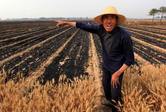 河南省滑縣、內(nèi)黃縣麥田著火，麥壟套種的花生、玉米苗也被烤焦，群眾損失慘重