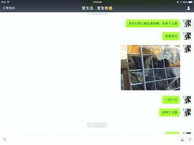 買家發(fā)現(xiàn)上當(dāng)受騙，賣家叫囂“報警也沒用”。