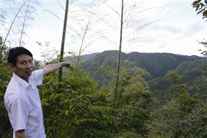 村民吳學(xué)田告訴記者，對面兩座山就是潘建友承包的部分山場 見習(xí)記者 邱一文 攝