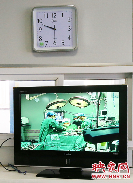 由于扎入大龍顱內(nèi)的針位置較深，所以經(jīng)過七次定位才取出,圖為監(jiān)視器中手術(shù)場(chǎng)景