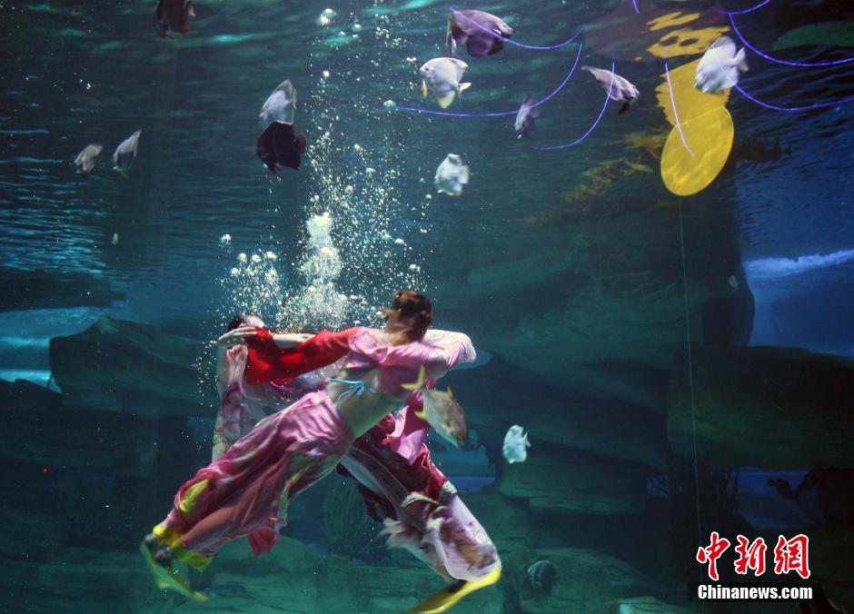 9月7日，在中秋節(jié)到來前一天，山東泉城海洋極地世界為游客帶來“嫦娥水中奔月”表演。