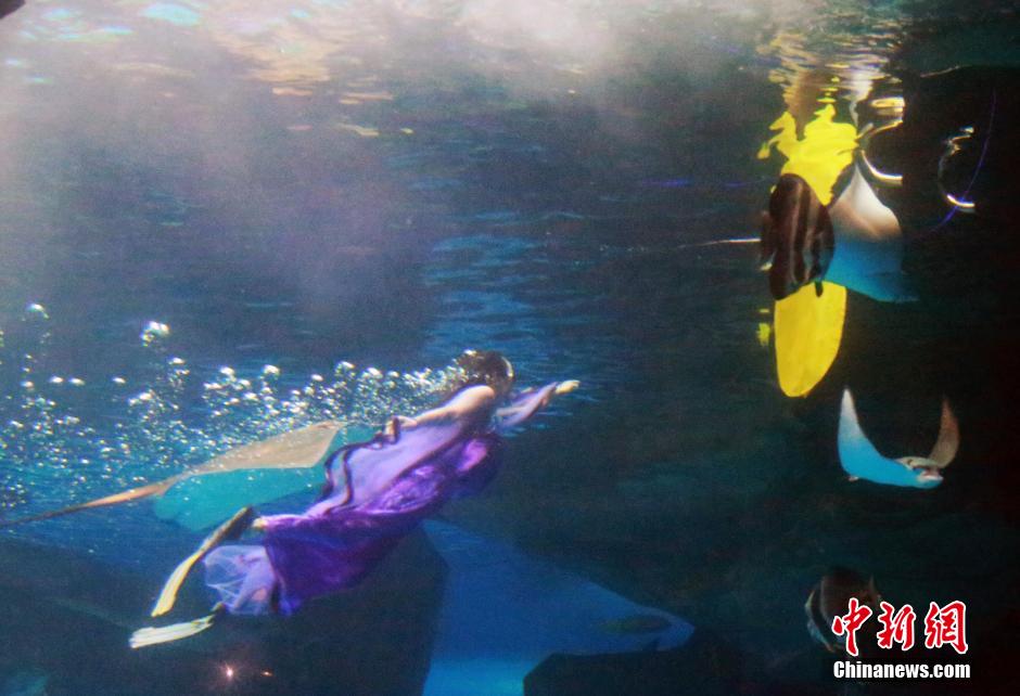 9月7日，在中秋節(jié)到來前一天，山東泉城海洋極地世界為游客帶來“嫦娥水中奔月”表演。