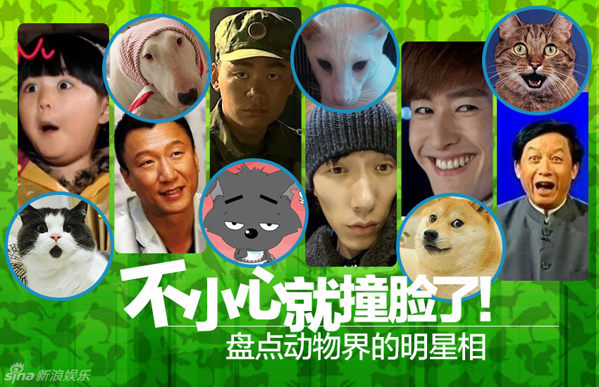 不小心就撞臉了！盤點(diǎn)動(dòng)物界的明星相