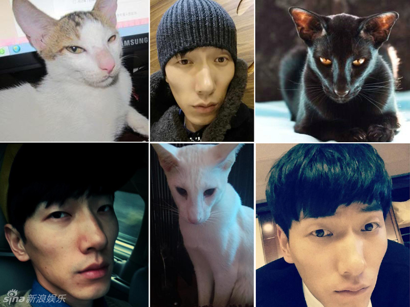 不小心就撞臉了！盤點(diǎn)動(dòng)物界的明星相