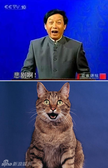 不小心就撞臉了！盤點(diǎn)動(dòng)物界的明星相